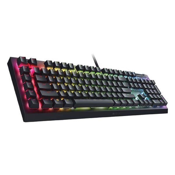 Razer BlackWidow V4 X (switches Razer Green)